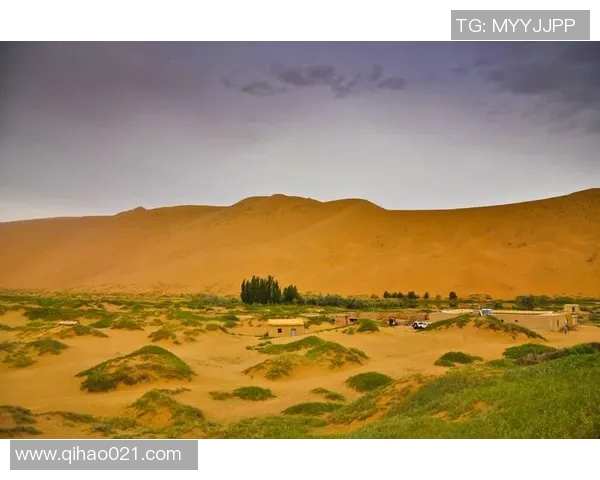 谁能在足球的舞台上崭露头角成为耀眼明星的秘密与挑战