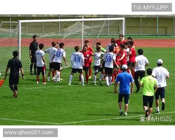 足球明星因场外行为和表现不佳被解雇的深层原因分析